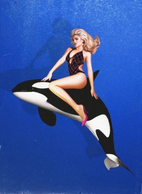 A blonde woman in a black bathing suit riding an orca, set against a blue, aquatic-style background, creating a surreal, fantasy-like image.