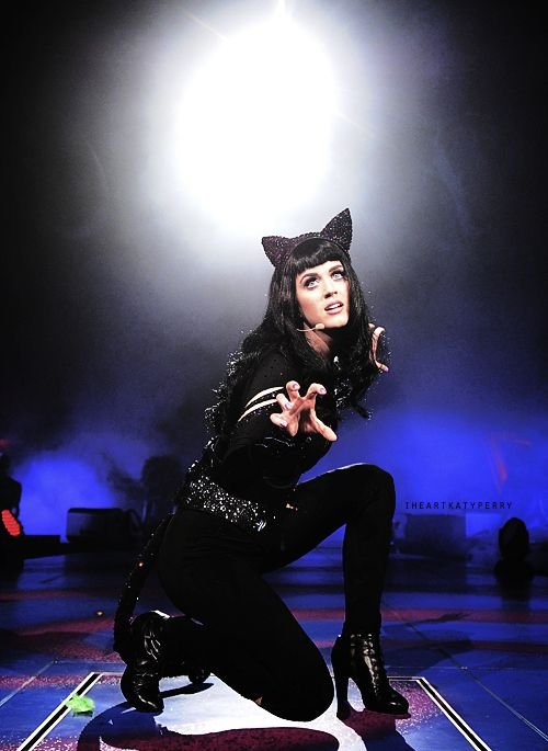 On stage, a singer with cat ears in black outfit kneels in a performance pose, highlighted by a bright spotlight against a smoky backdrop.