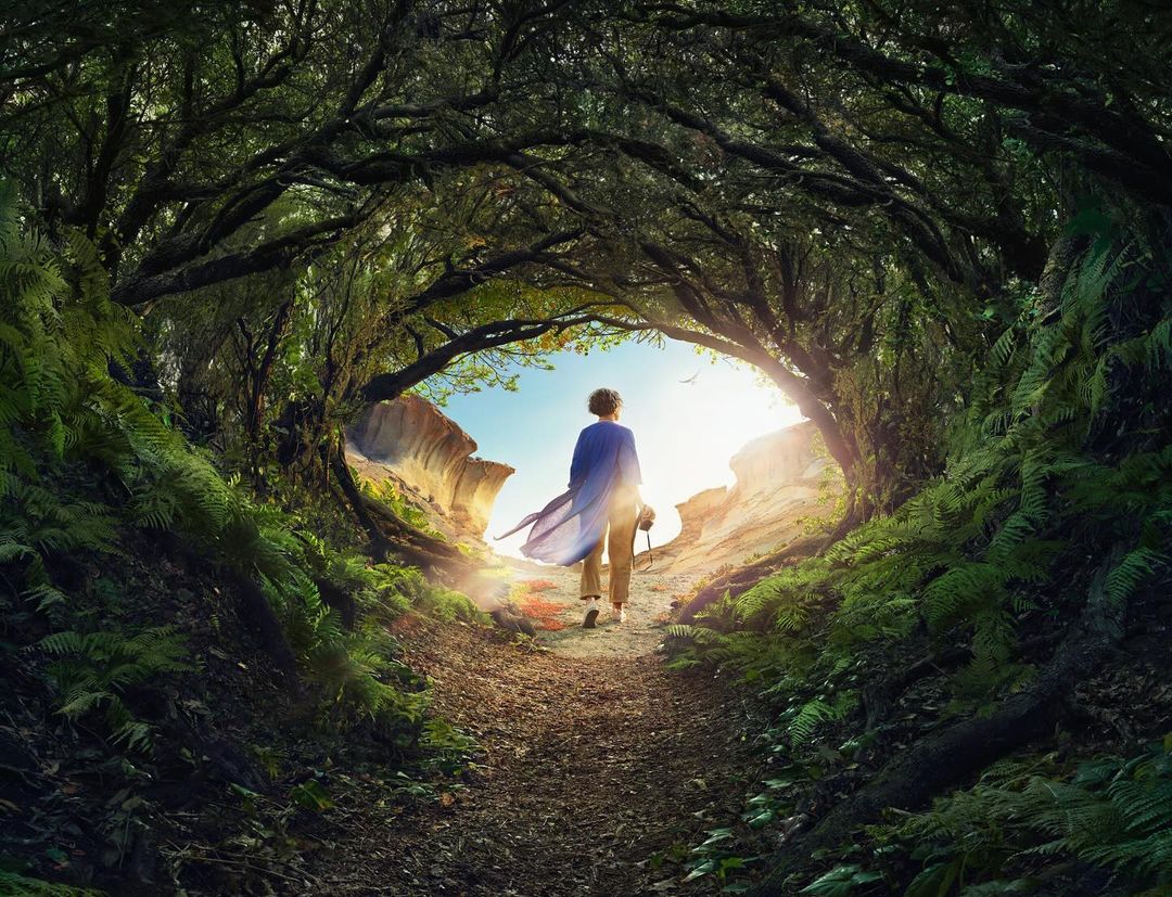 Person walks through a sunlit forest path framed by trees. Ferns and greenery line the path, creating a natural tunnel effect.