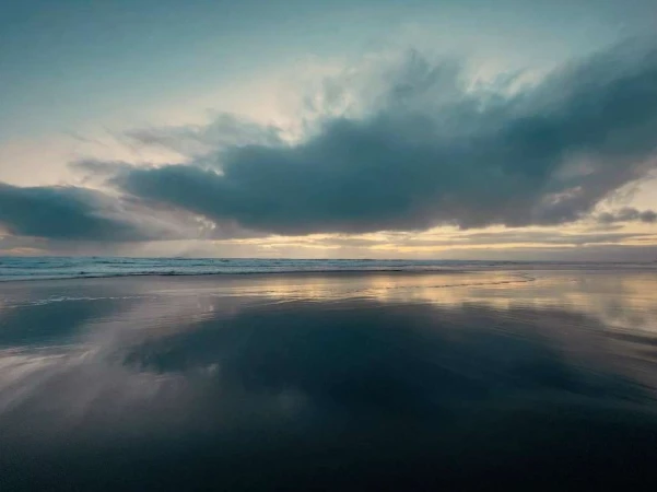 Todd Antony