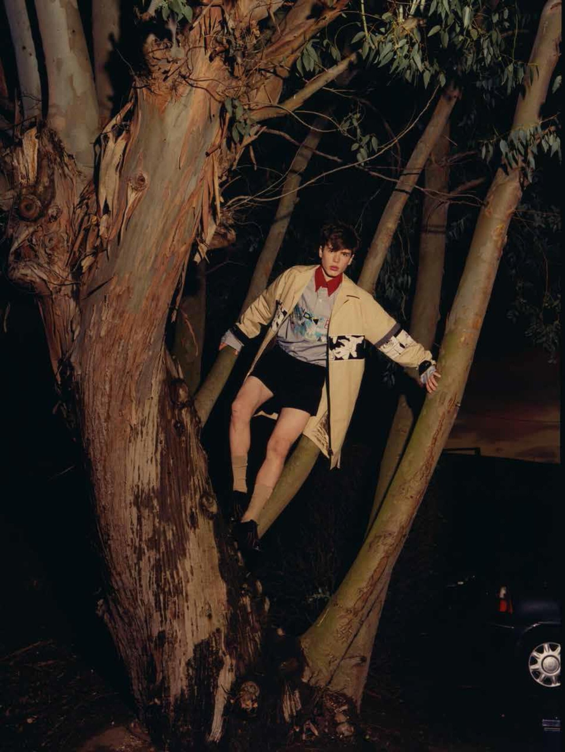 Young man in a beige patterned coat and shorts perched among large eucalyptus trees at night