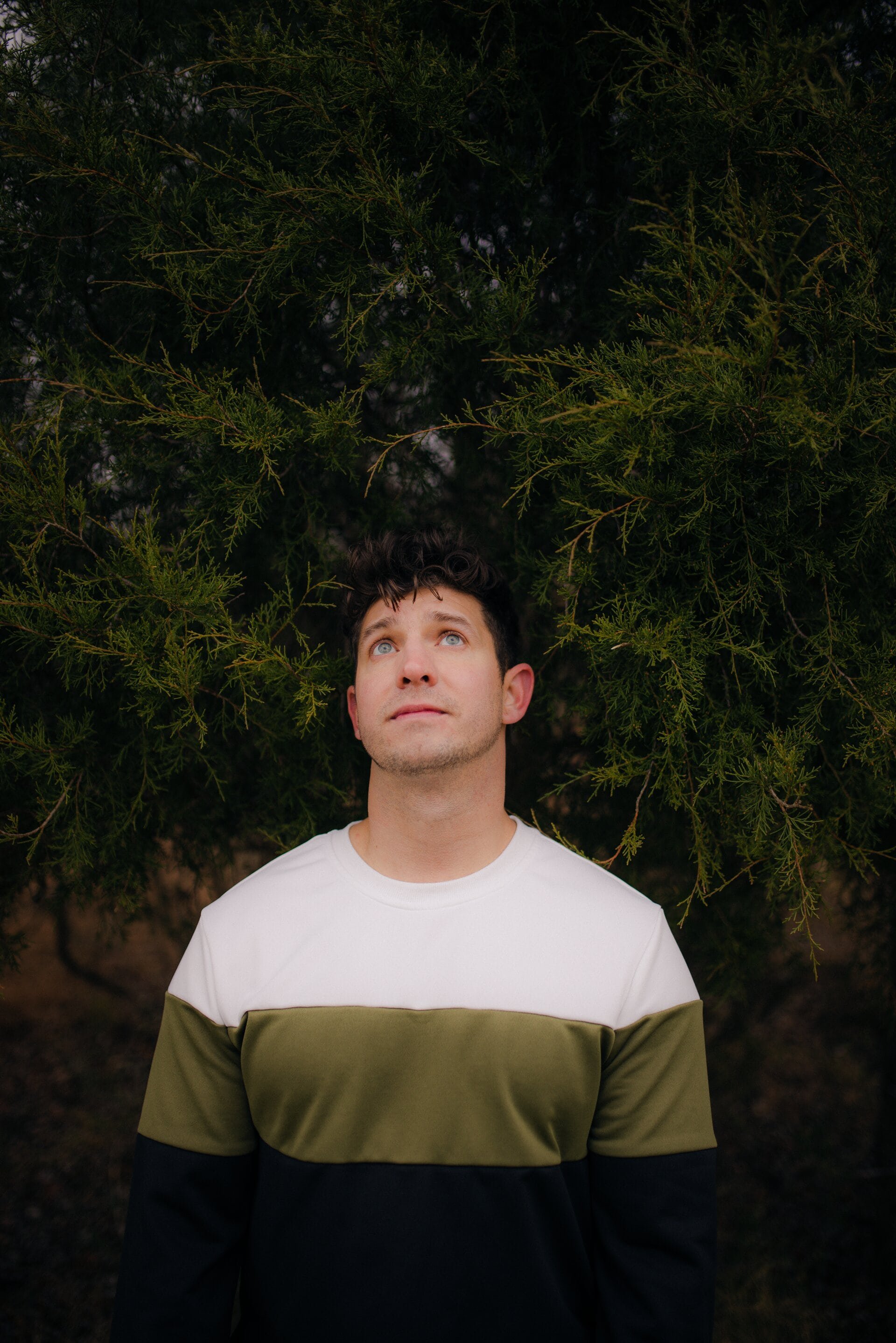 Portrait of a young adult man looking up outside with a tree in the background, wearing a tri-color sweater: white, green, and black.