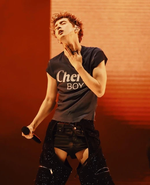 Singer performs on stage in a black t-shirt and leather shorts. The orange stage lights illuminate the musician during the performance.