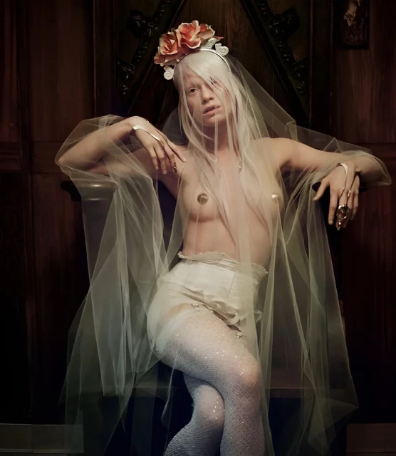 Surreal portrait of a woman in a sheer veil, wearing light-colored lingerie and sparkling tights, posing against a dark wooden backdrop.