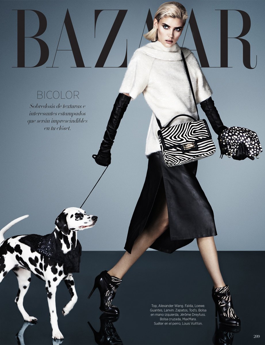 Fashion magazine cover featuring a blonde model in a sweater, skirt, and heels walking a Dalmatian dog with graphic print accessories.