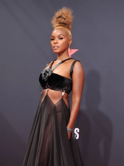 Singer Janelle Monáe poses in an elegant black semi-sheer dress on a grey carpet for celebrity and entertainment event, portrait view.
