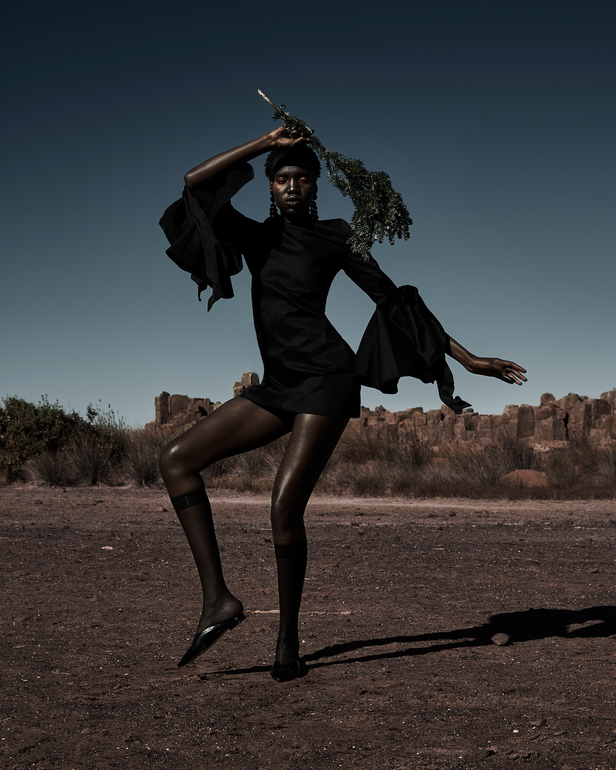 A Black fashion model poses in a black dress in an arid landscape with a leafy branch, showcasing editorial style and earthy tones against a blue sky.