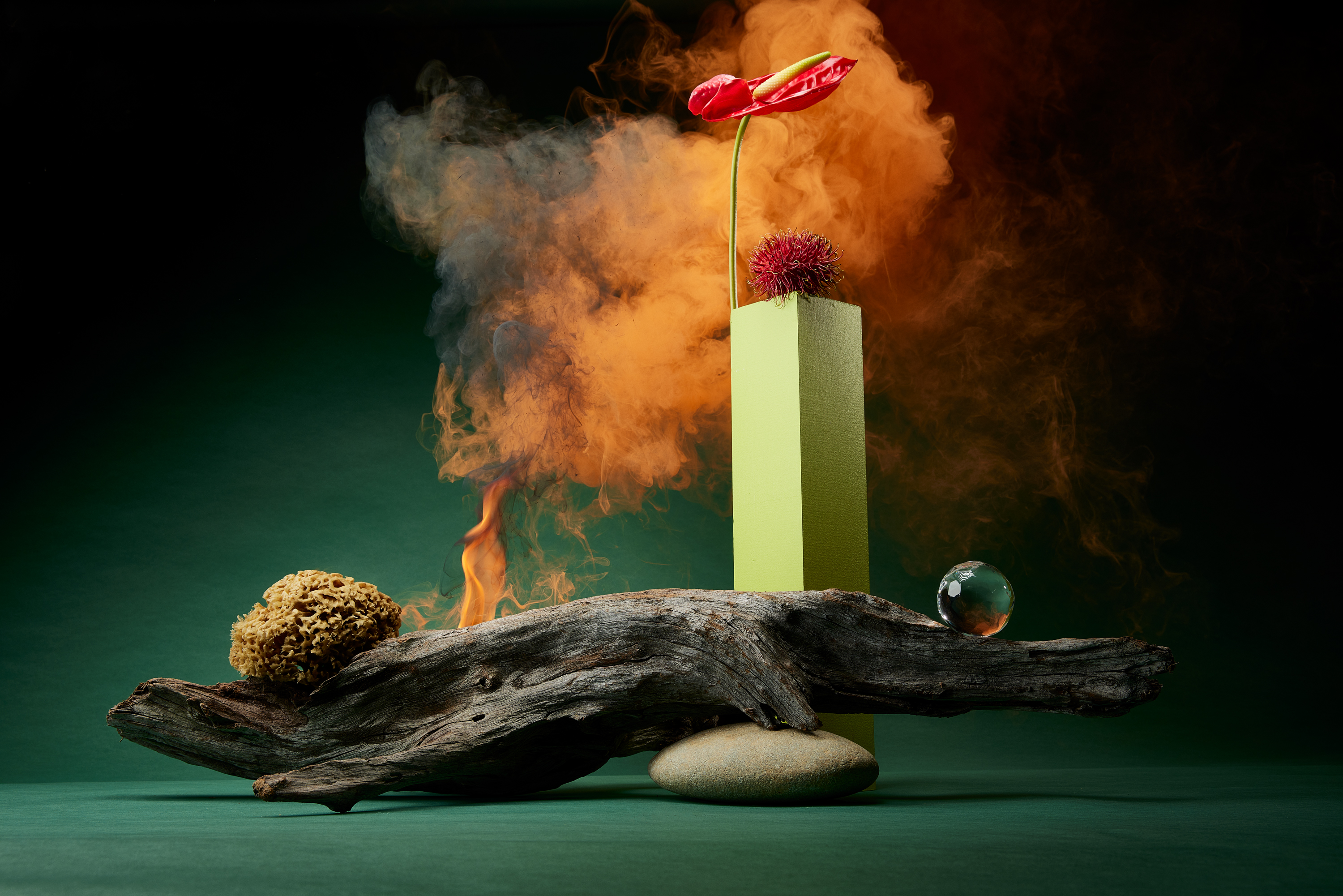 Still life featuring a red flower in a green vase, resting on driftwood with a sponge, stone, and glass orb, against a smoky background.