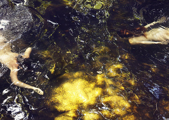 Overhead shot of two nude adult females swimming in clear, shimmering, dark water with reflected light and rock formations underwater.