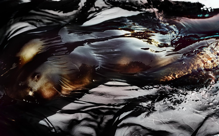 Abstract art of a human face and body under translucent black fabric, highlighted with dynamic dark and light contrast.