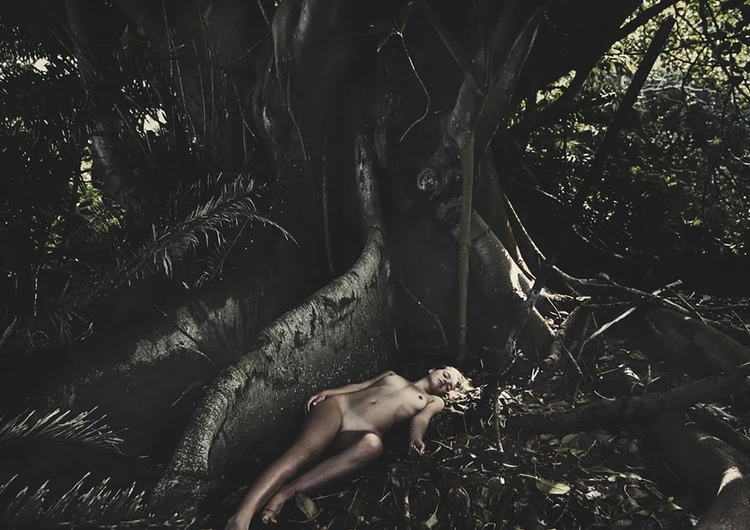 A nude woman with fair skin lies near a large tree root amidst leaves in a dimly lit forest with sunlight piercing the canopy.