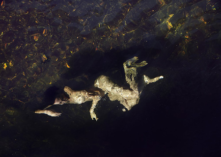 Abstract water scene with human reflection, dark hues, and diffused natural light creating a surreal and atmospheric underwater image.