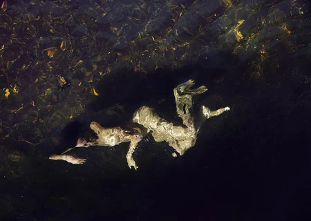 Abstract water scene with human reflection, dark hues, and diffused natural light creating a surreal and atmospheric underwater image.