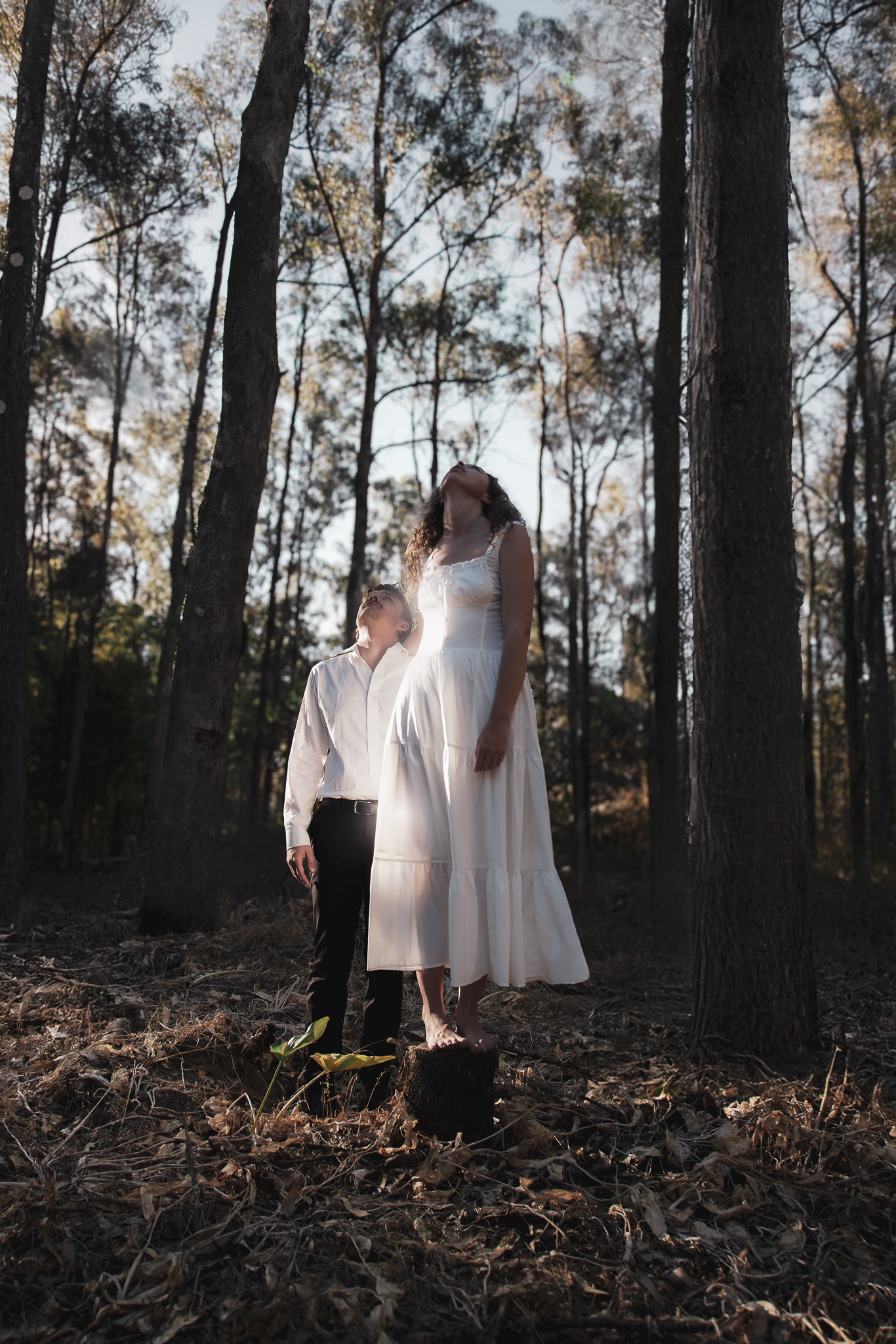 Woman in white dress stands on tree stump in a forest, man in white shirt and black pants stands near her, surrounded by trees.