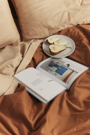Cozy scene: open book on a bed with beige and brown linens, a plate of sliced pears, and a pillow creating a relaxing, inviting setting.