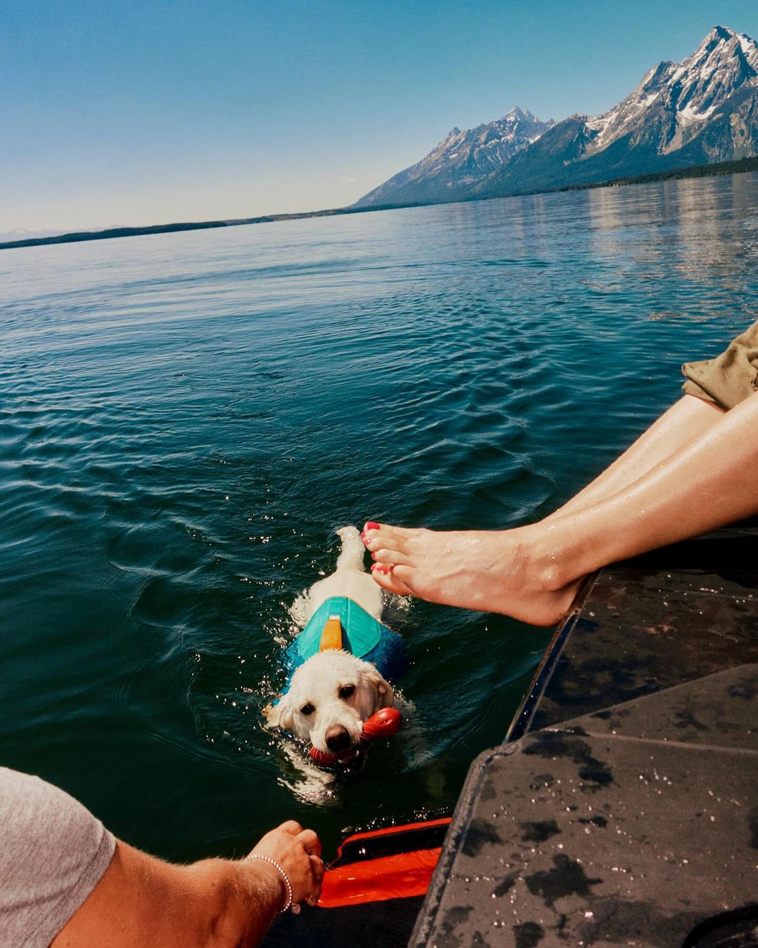 A Labrador dog is swimming in a lake toward the camera with mountains in the background and a person's feet in the frame.