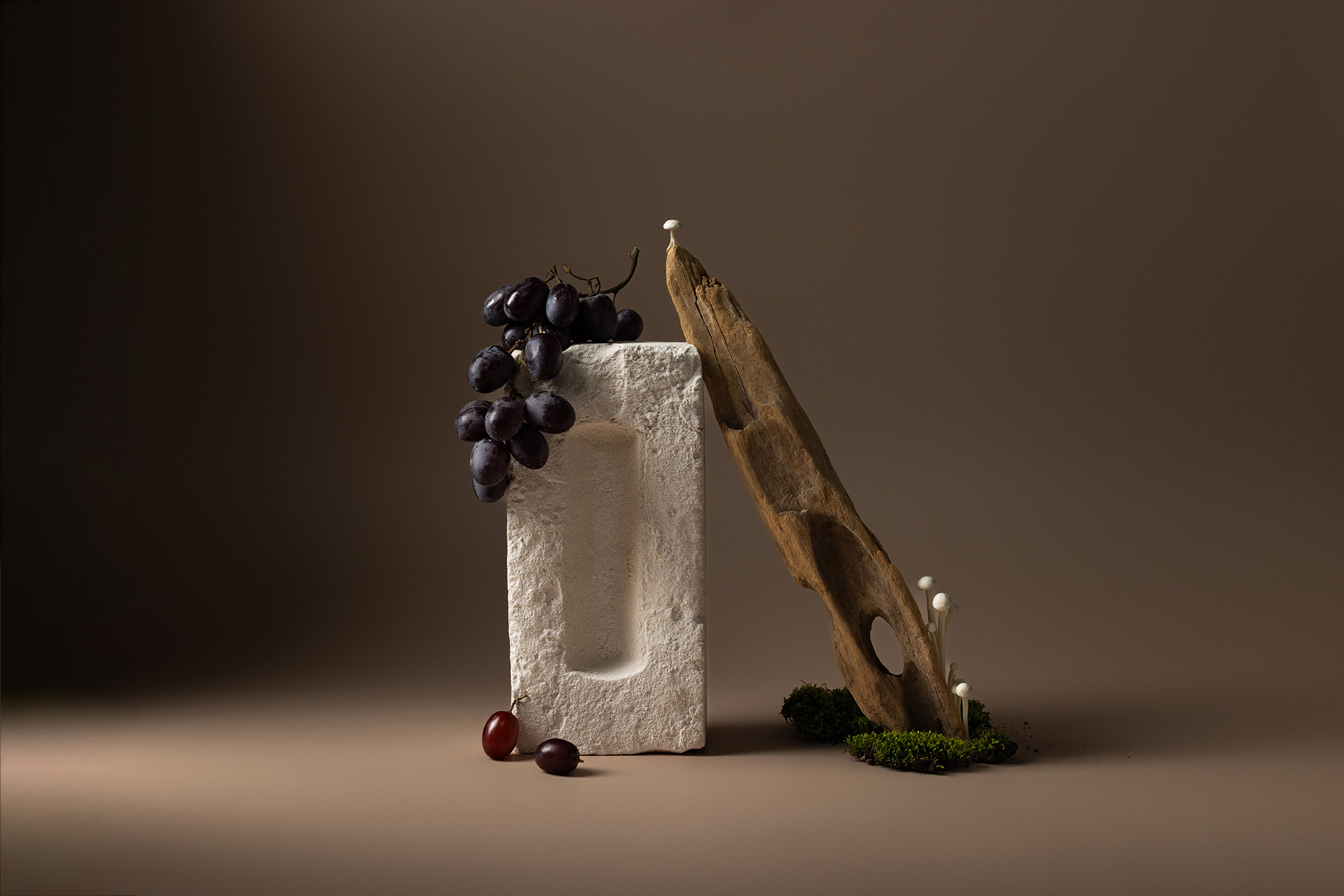 Still life featuring dark grapes next to a stone block and a piece of wood with mushrooms against a smooth brown gradient background.