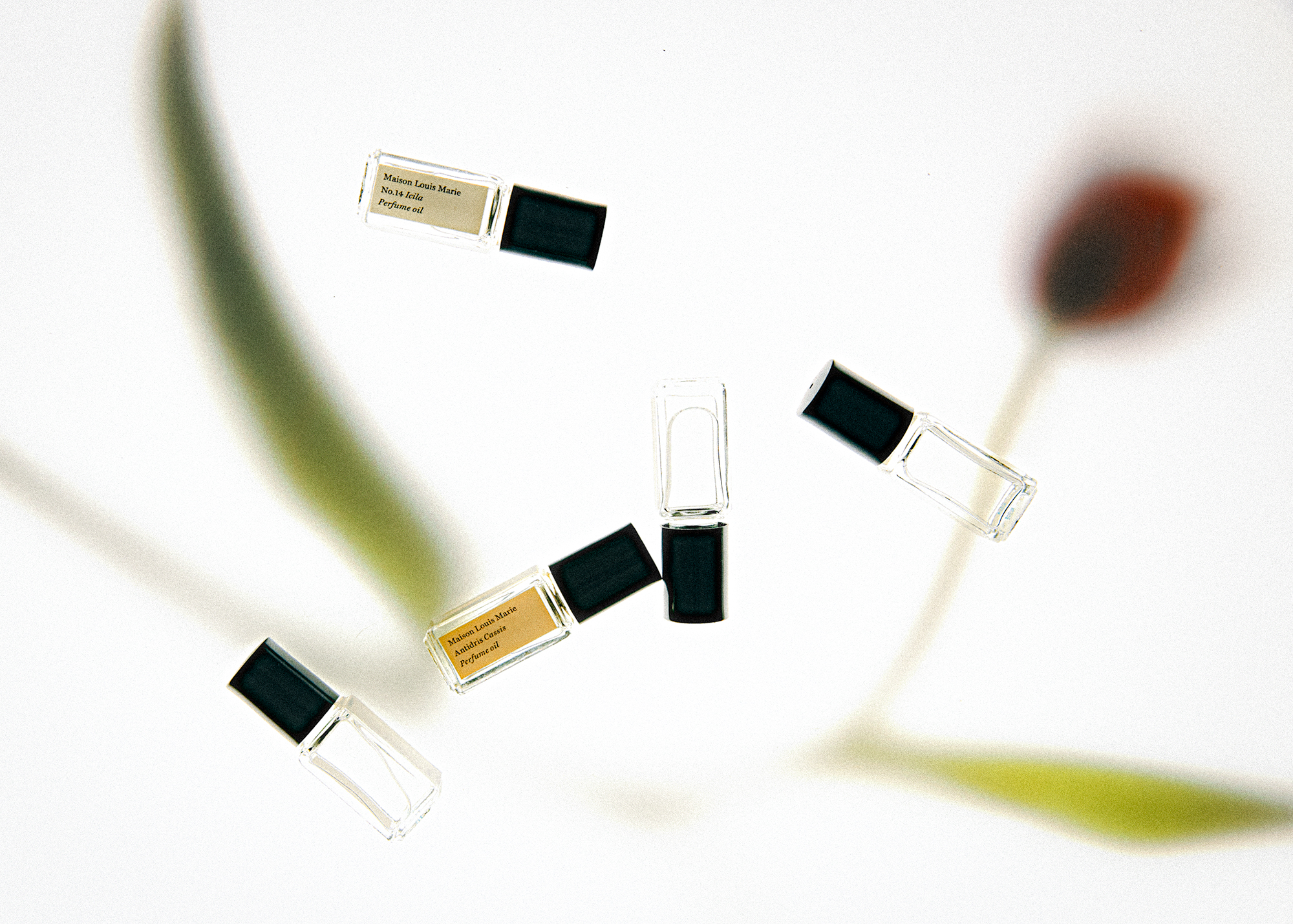 Several perfume oil sample bottles with black caps are displayed against a bright white background with a blurred plant shadow.