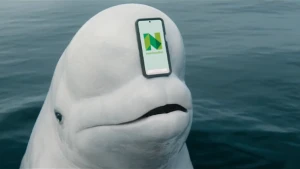 Close-up of a beluga whale with a smartphone on its head displaying a green and white logo in an outdoor ocean setting.