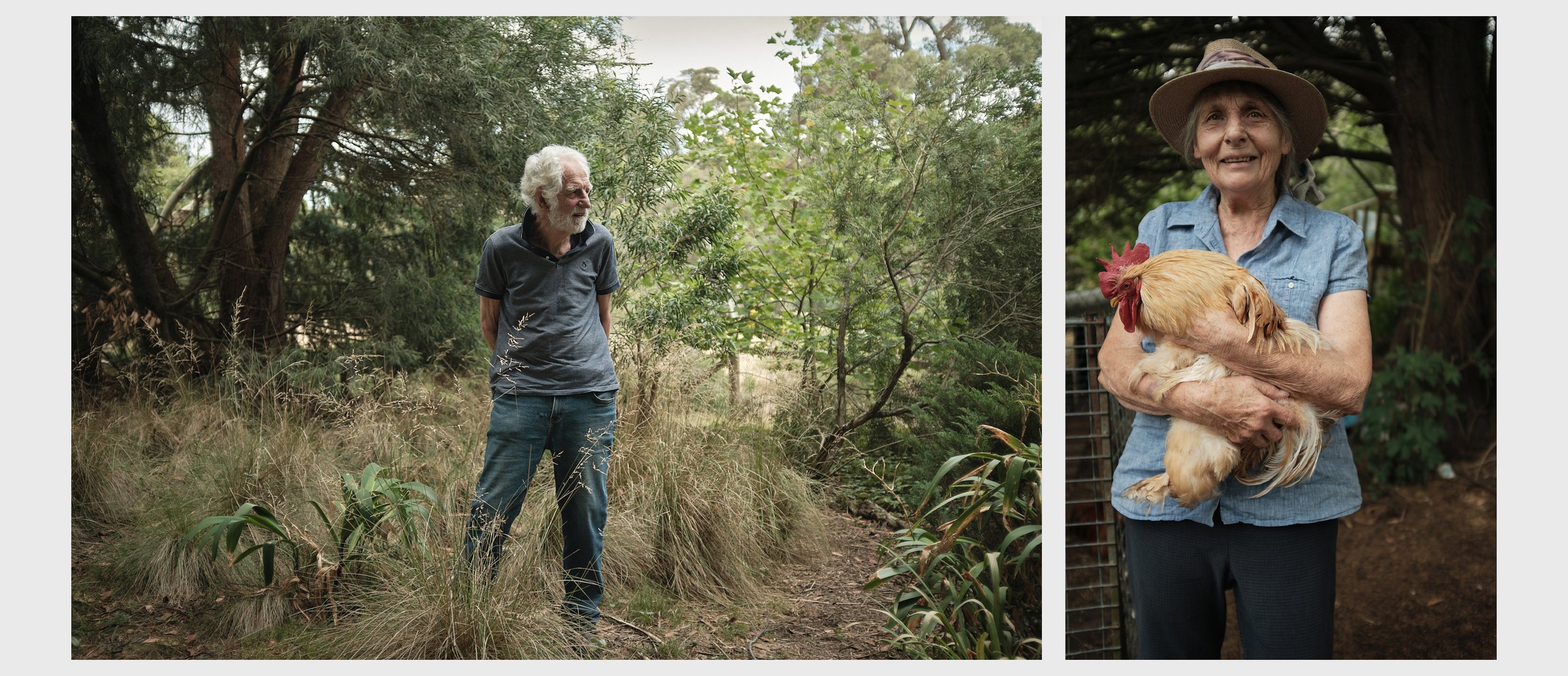 Split-screen of an elderly man in a forest and an elderly woman holding a rooster, capturing an outdoor, nature-focused lifestyle scene.