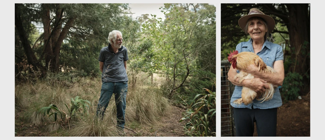 Split-screen of an elderly man in a forest and an elderly woman holding a rooster, capturing an outdoor, nature-focused lifestyle scene.