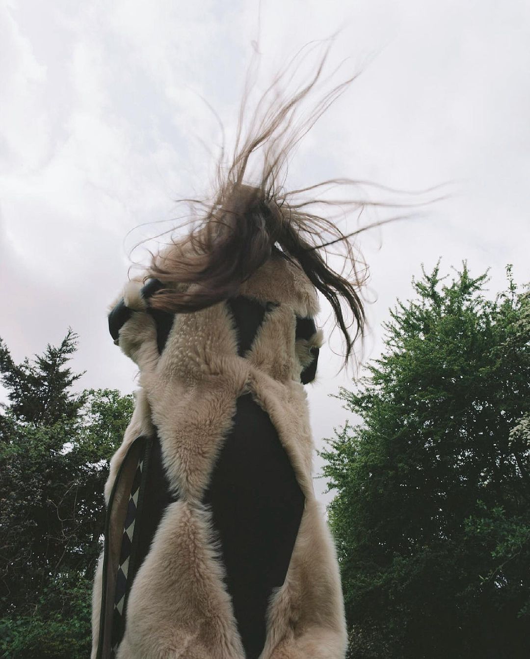A person stands with long brown hair flying in the wind, wearing a fur vest with dark geometric shapes against a cloudy sky and trees.