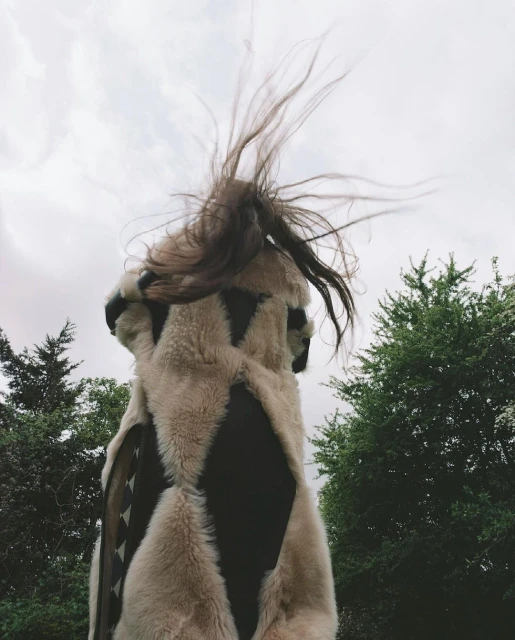 A person stands with long brown hair flying in the wind, wearing a fur vest with dark geometric shapes against a cloudy sky and trees.