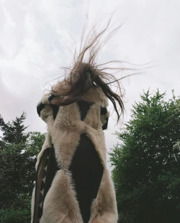 A person stands with long brown hair flying in the wind, wearing a fur vest with dark geometric shapes against a cloudy sky and trees.