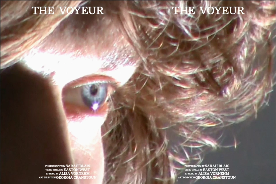 Extreme close-up of a blue eye with fair skin, set against textured blonde hair and overlaid with the text 'The Voyeur'.