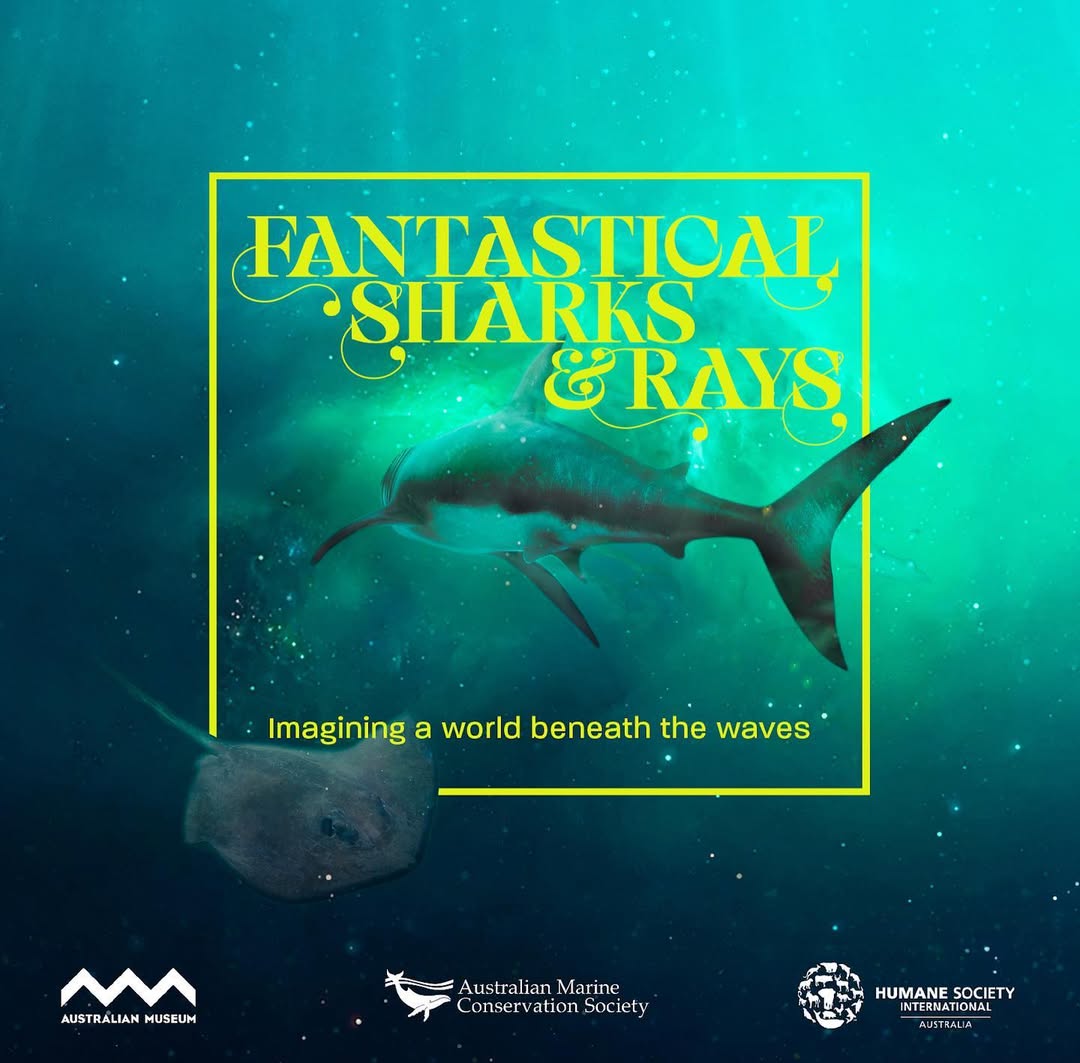 Fantastical sharks and rays illustration featuring a great white shark and stingray in an underwater environment with text overlay.