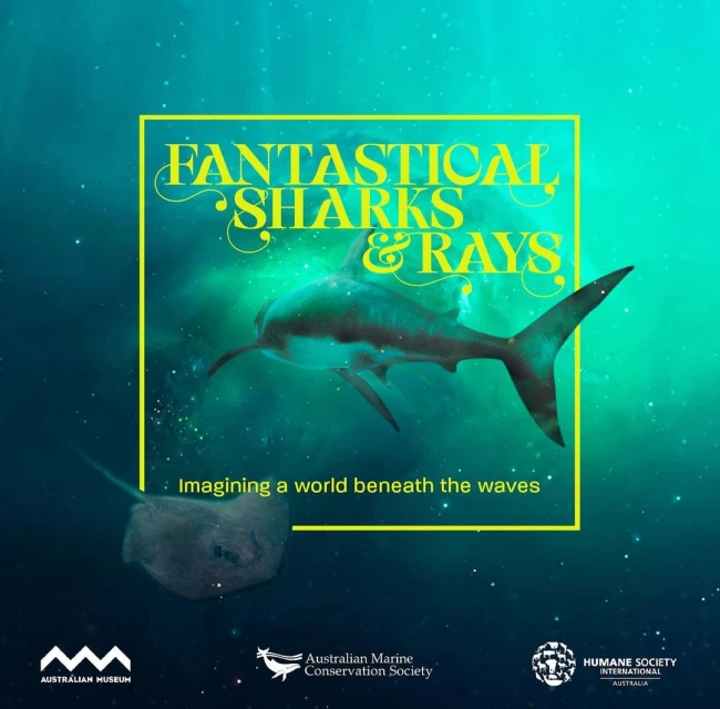 Fantastical sharks and rays illustration featuring a great white shark and stingray in an underwater environment with text overlay.