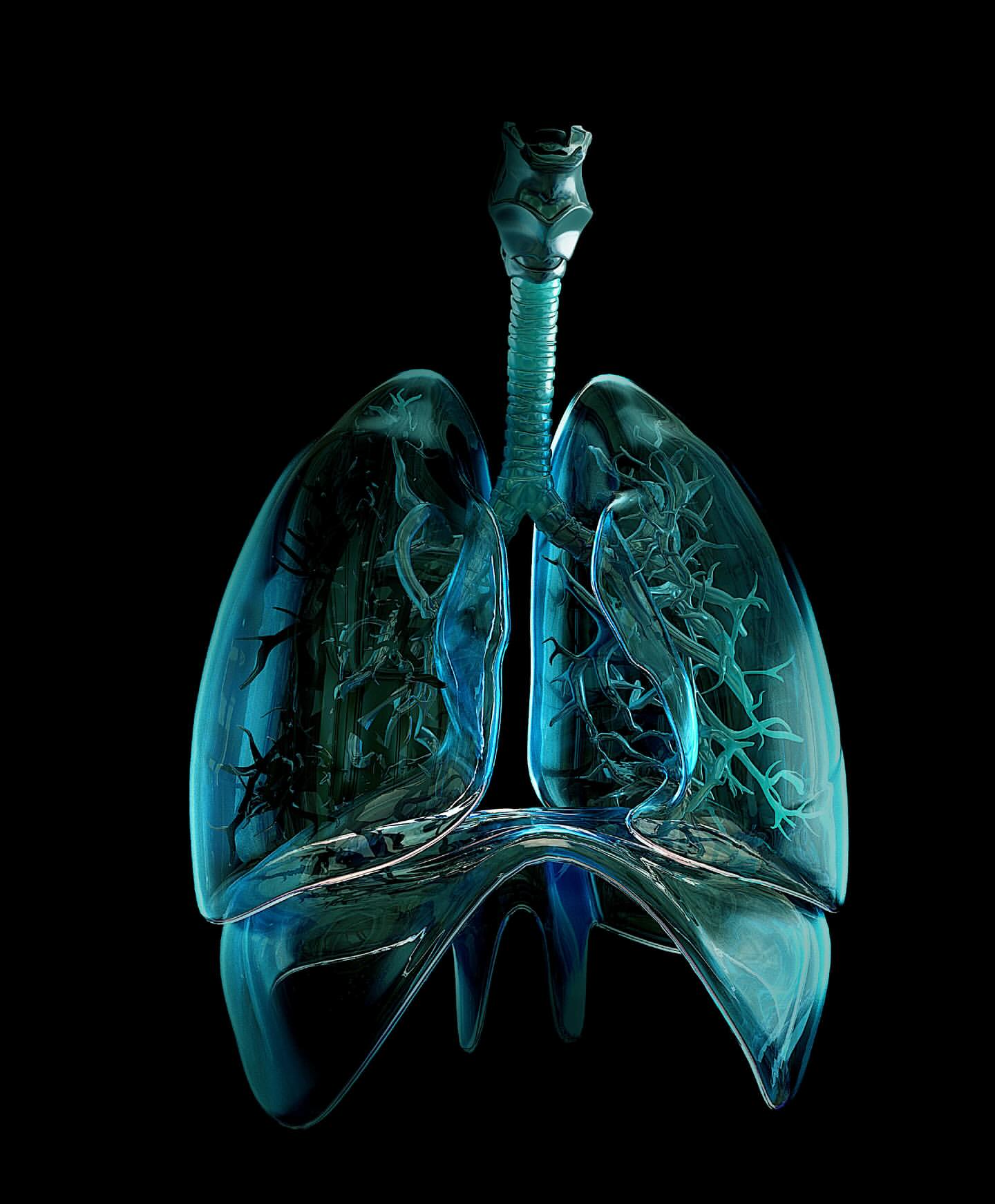Medical illustration of translucent blue-green human lungs, trachea, and bronchi on a black background, with intricate anatomical details.