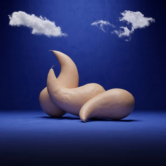 Abstract sculpture of elongated gourd-like forms against a gradated blue backdrop with soft clouds, creating a surreal and dreamy visual.