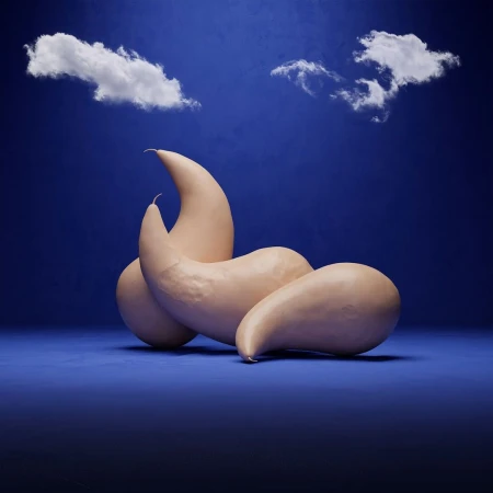 Abstract sculpture of elongated gourd-like forms against a gradated blue backdrop with soft clouds, creating a surreal and dreamy visual.