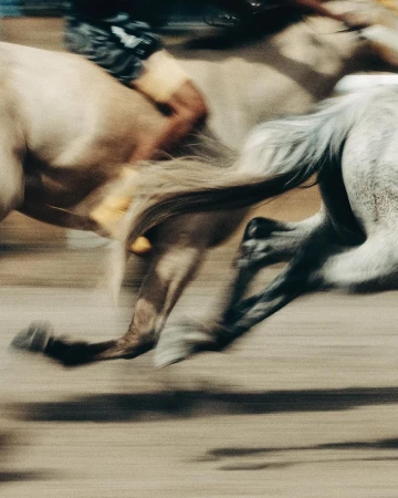 Motion blur image of two horses running closely together across a sandy surface, focusing on their legs and tails in shades of tan and grey.