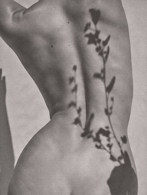 Monochrome shot of a nude woman's back with a plant shadow across it, creating an artistic and intimate composition.