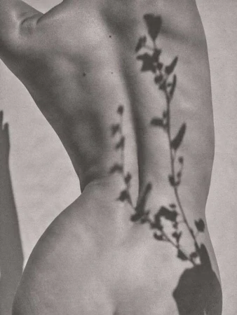 Aaron Feaver