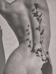 Close up of a person's back with botanical shadows cast along the spine, photographed by Aaron Feaver.