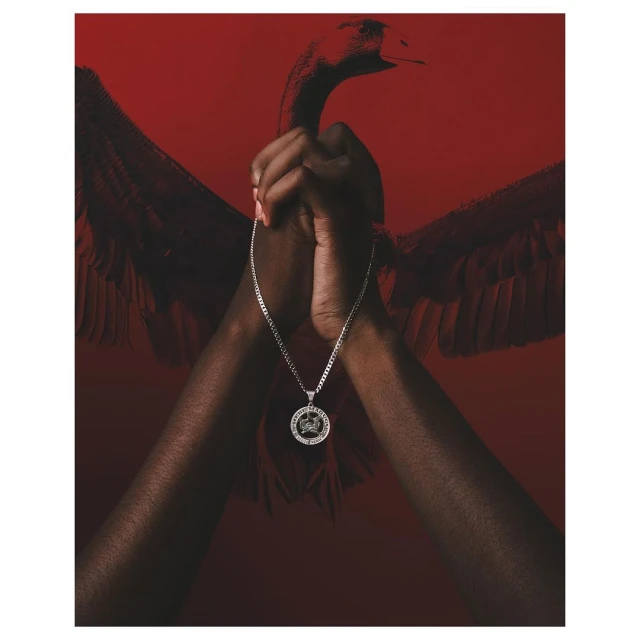 Close-up of hands clasped, silver chain necklace, and dark bird silhouette against a red background, creating a striking visual harmony.