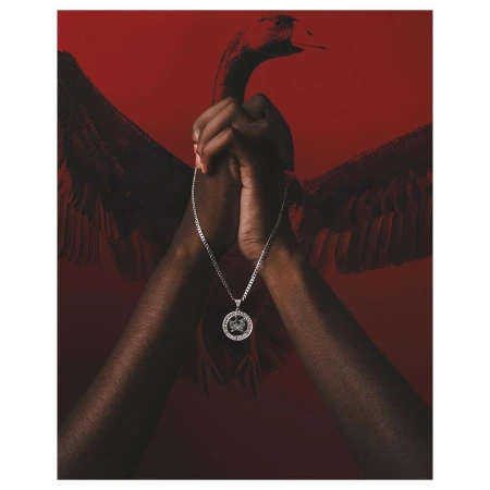 Close-up of hands clasped, silver chain necklace, and dark bird silhouette against a red background, creating a striking visual harmony.