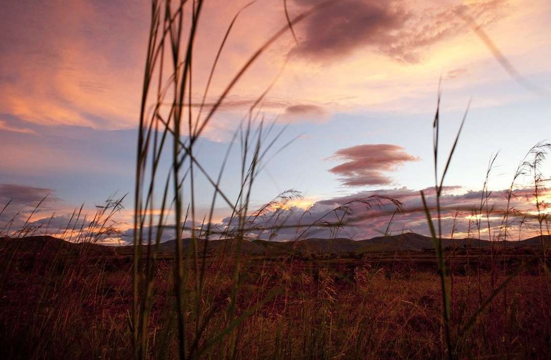 Scenic view of a golden field with tall grass at dusk, with a sky filled with pink and purple clouds, and distant mountain range.