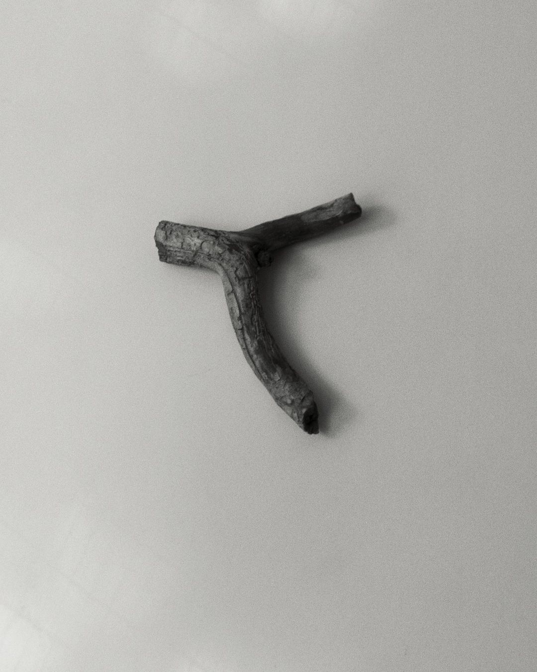 Monochrome image of a small branch on a white surface, showcasing its texture and unique shape in a minimalist composition.