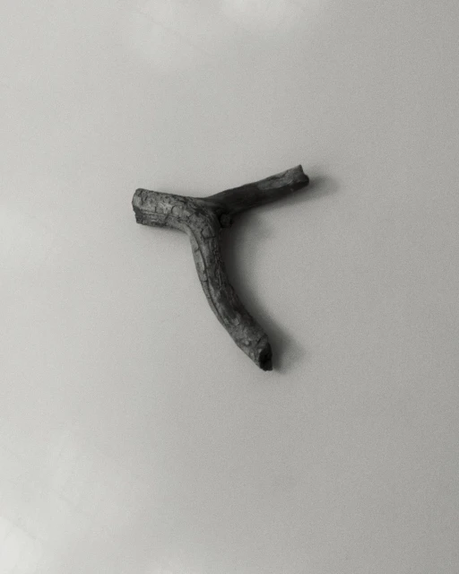 Monochrome image of a small branch on a white surface, showcasing its texture and unique shape in a minimalist composition.