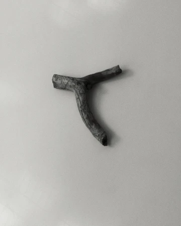 Monochrome image of a small branch on a white surface, showcasing its texture and unique shape in a minimalist composition.