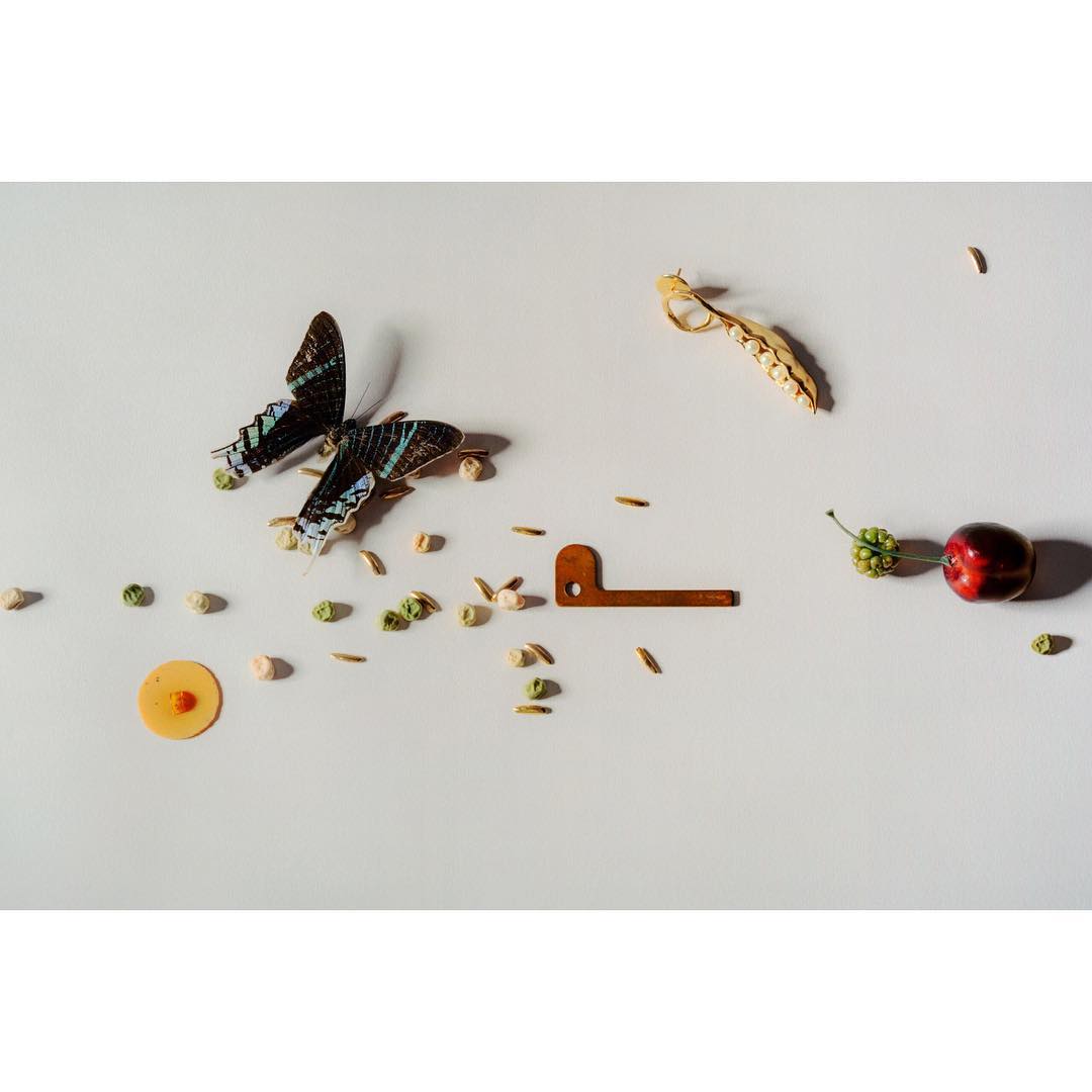 Overhead shot of two blue morpho butterflies, seeds, beans, disc, and plum arranged on a white surface, showcasing natural elements.