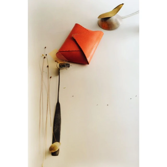 Still life composition featuring an orange clutch, a metal scoop with a leaf, and thin stalks of grass, arranged on a white surface.