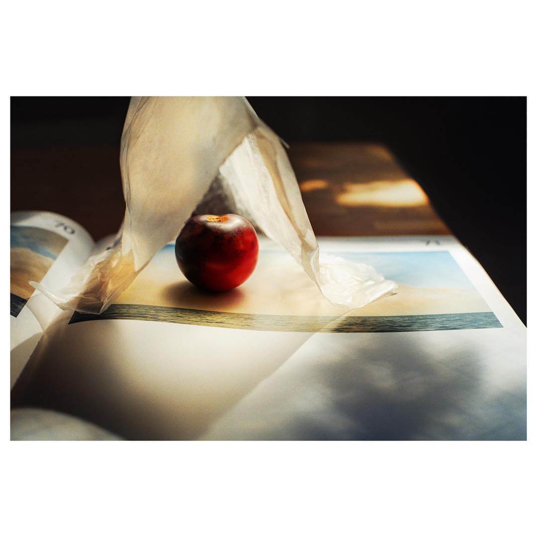 A red plum sits on the open pages of a magazine, illuminated by sunlight, with a white translucent sheet partially covering it.
