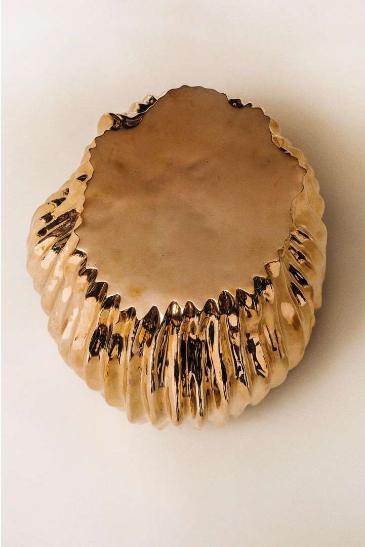 Close-up of a decorative seashell with a reflective, metallic surface, placed on a neutral background, exhibiting intricate details and texture.