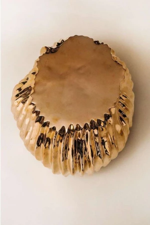 Close-up of a decorative seashell with a reflective, metallic surface, placed on a neutral background, exhibiting intricate details and texture.