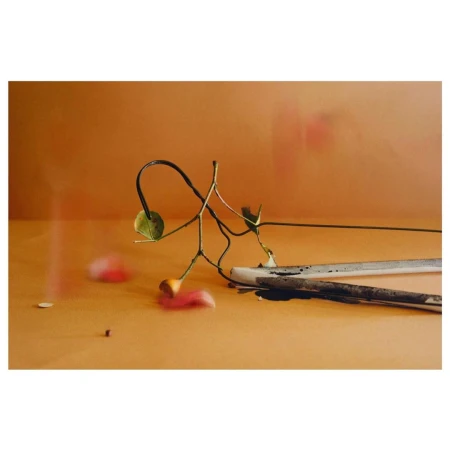 Still life photography by Adam Kremer featuring delicate plant stems and white ceramic objects on a warm ochre surface.
